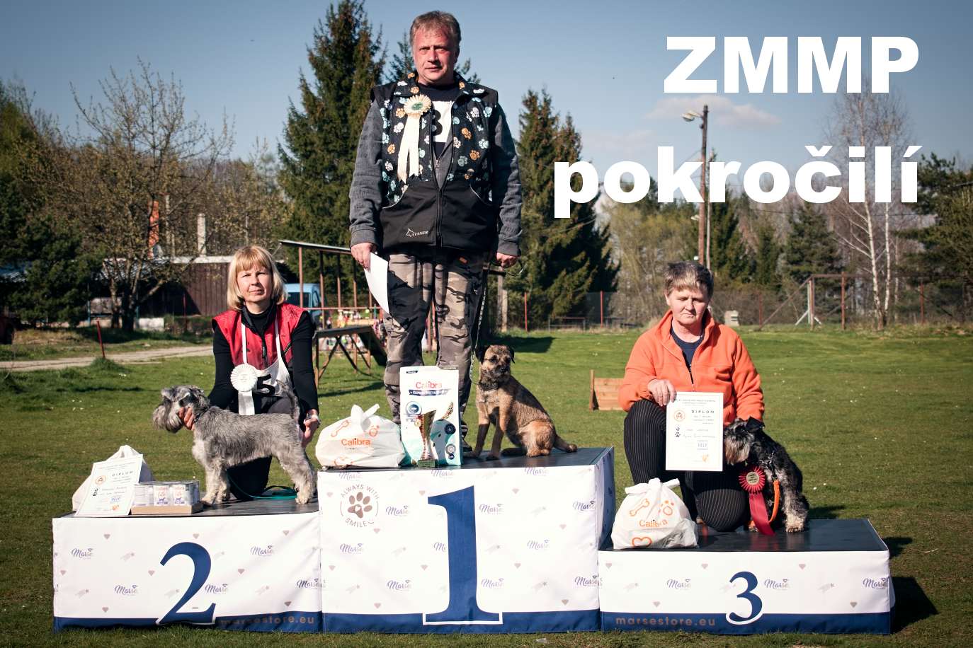 ZMMP-p-m